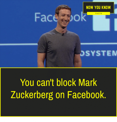 mark-zuckerberg-tu-chuc-thiet-ke-web-hai-duong